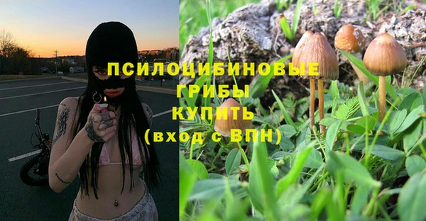Альфа ПВП Алзамай