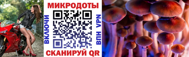 Галлюциногенные грибы GOLDEN TEACHER наркота Буй