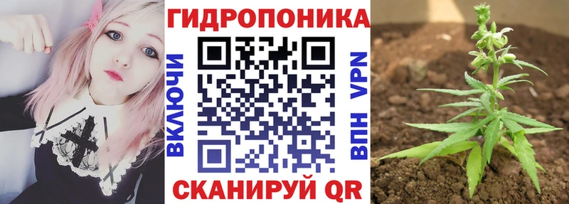 Канабис Bruce Banner Буй